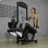Cadeira Extensora Sentada Máquina 80kg Consport